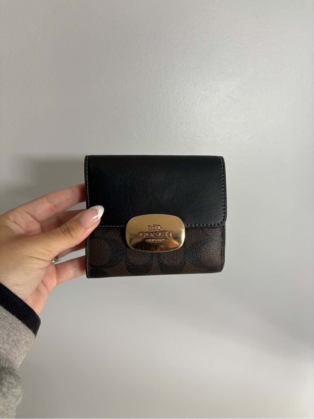 Coach Eliza Signature Small Wallet - Black/Brown